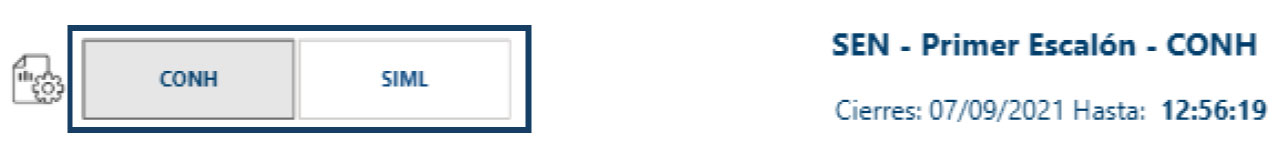 Captura de pantalla del área de selección de la rueda, en la nueva plataforma del Sistema Electrónico de Negociación.