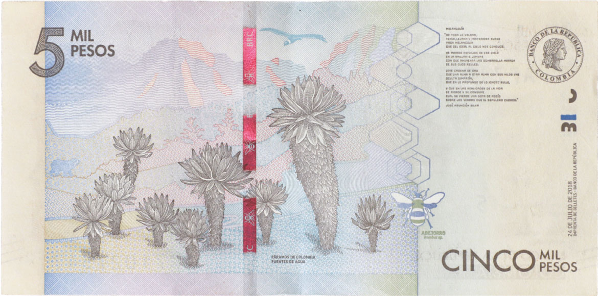 Reverso de billete de 5000 pesos. Grado 1: apto