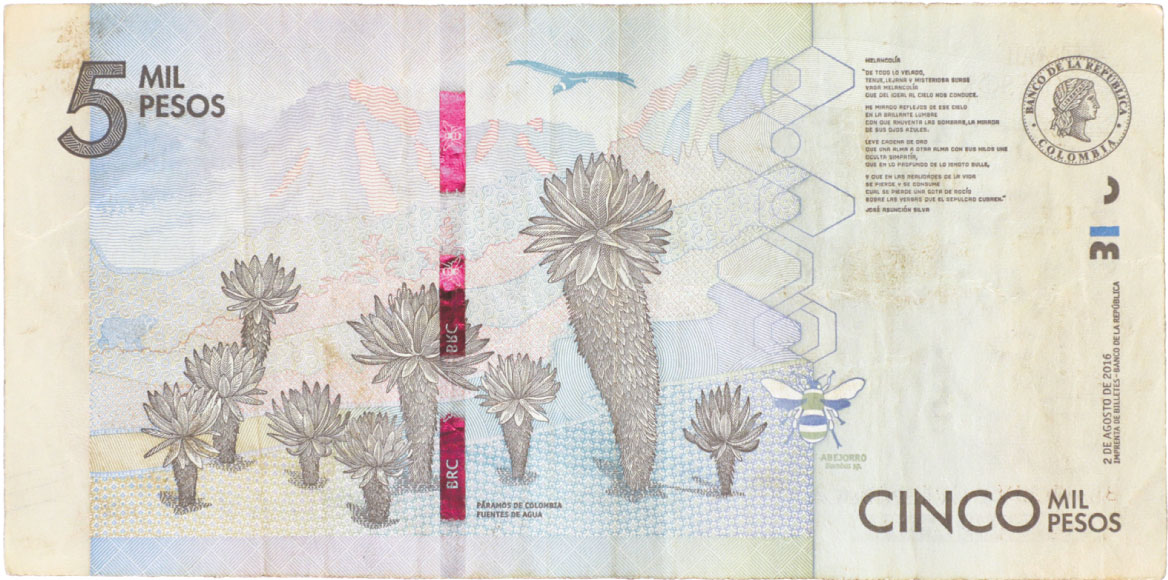 Reverso de billete de 5000 pesos. Grado 2: apto
