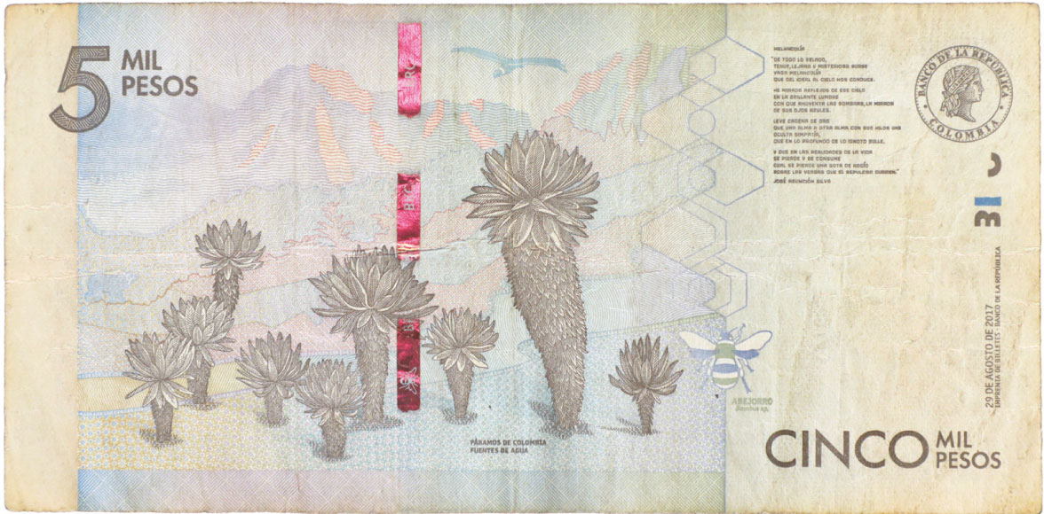 Reverso de billete de 5000 pesos. Grado 3: apto