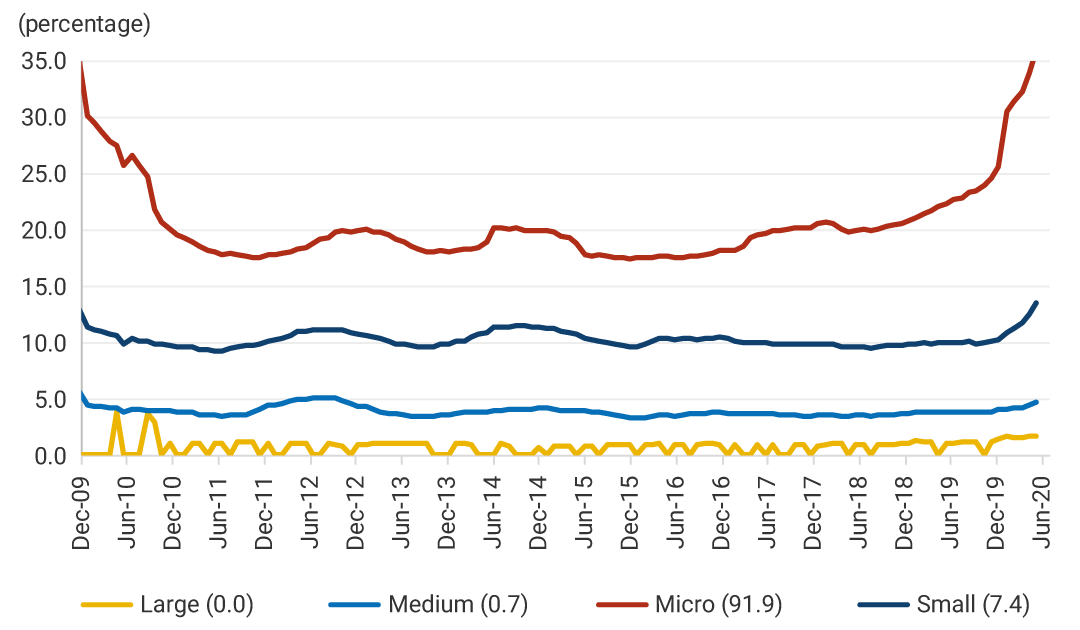 This second panel shows the percentages of business destruction by size from December 2009 to June 2020. Large (0.0% in June 2020). Medium (0.7% in June 2020). Small (7.4% in June 2020). Micro (91.9% in June 2020). Small and micro businesses showed significant increases in their destruction rate during 2020.