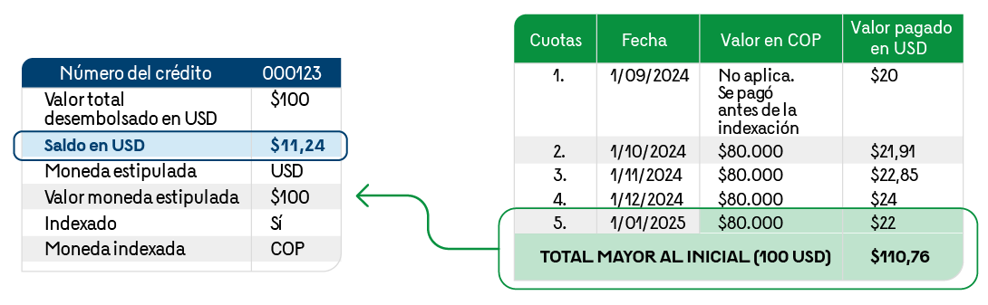 En la imagen se muestra dos tablas, en donde se resalta y contrasta los $11,24 del Saldo en USD frente a los $110,76 del total mayor al inicial (100 USD) para enero de 2025.