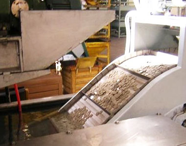 Fotografía de horno de recocido de cospel Trómell