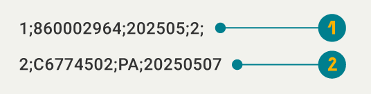 Imagen de ejemplo de la estructura del archivo Formato tipo 3, Terminaciones anticipadas de la cobertura.