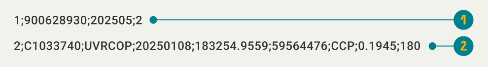 Imagen de ejemplo de la estructura del archivo Formato tipo 41, Cambio de denominación.