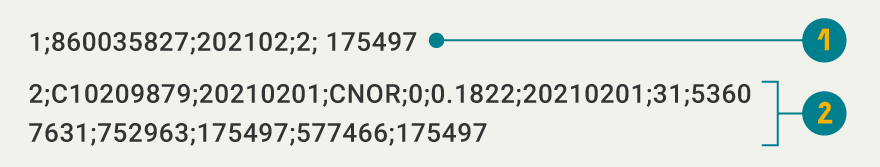 Imagen de ejemplo de la estructura del archivo Formato tipo 9, Actualización de cuentas de cobro previamente pagadas por el FRECH.