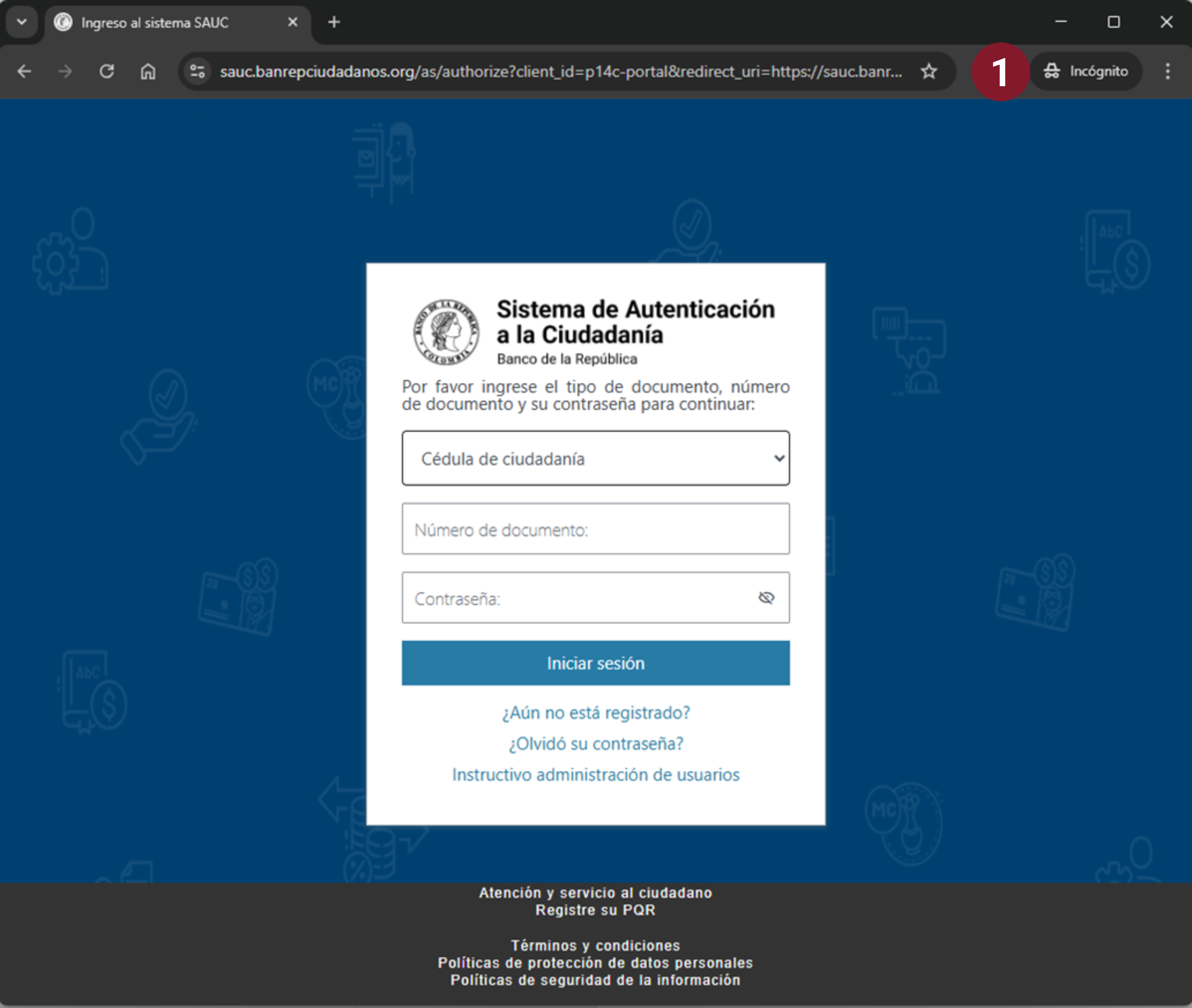 Captura de pantalla que muestra la página de inicio del sistema que permite la autenticación