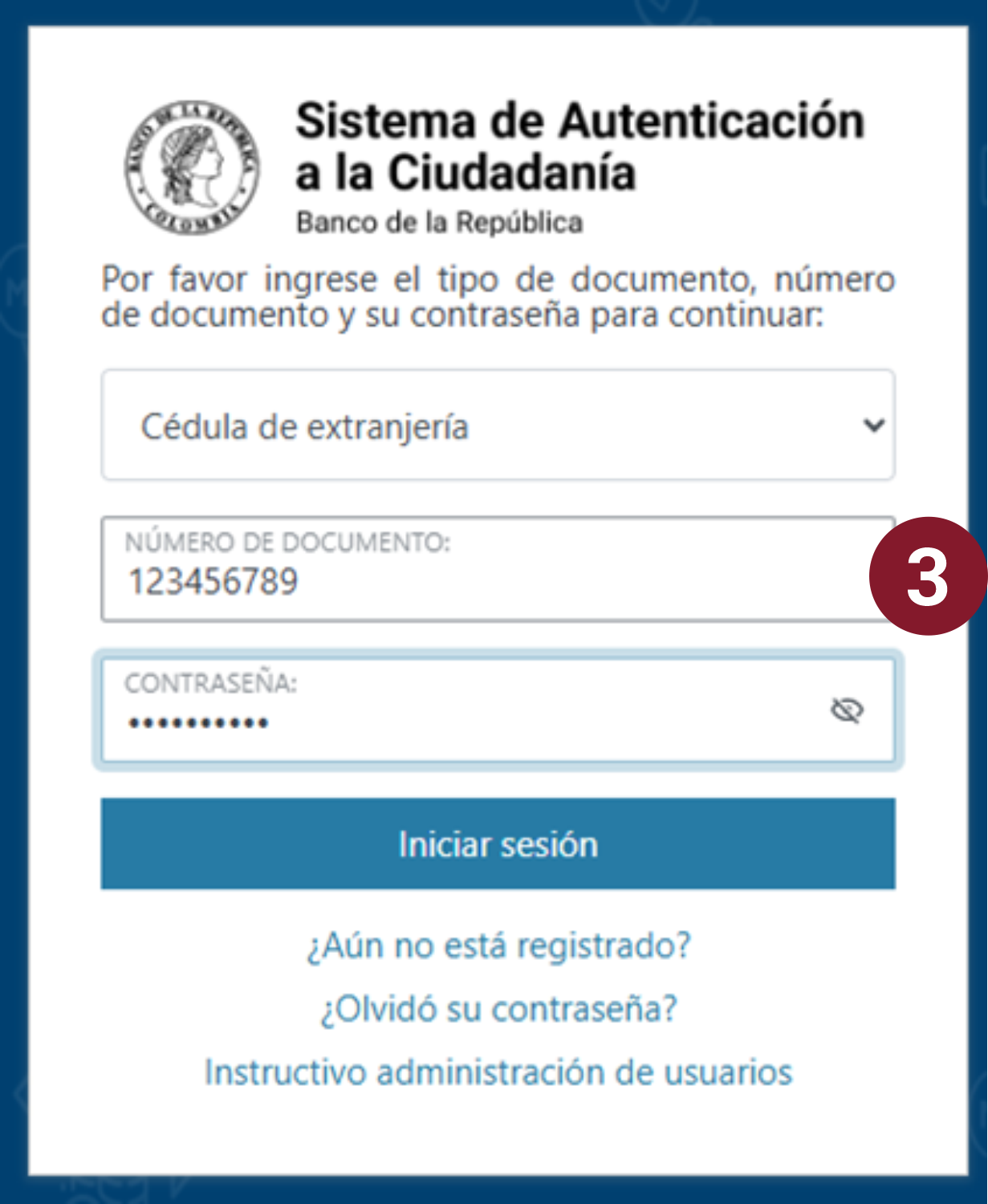 Se muestra un ejemplo del correcto diligenciamiento de los tres campos. 
