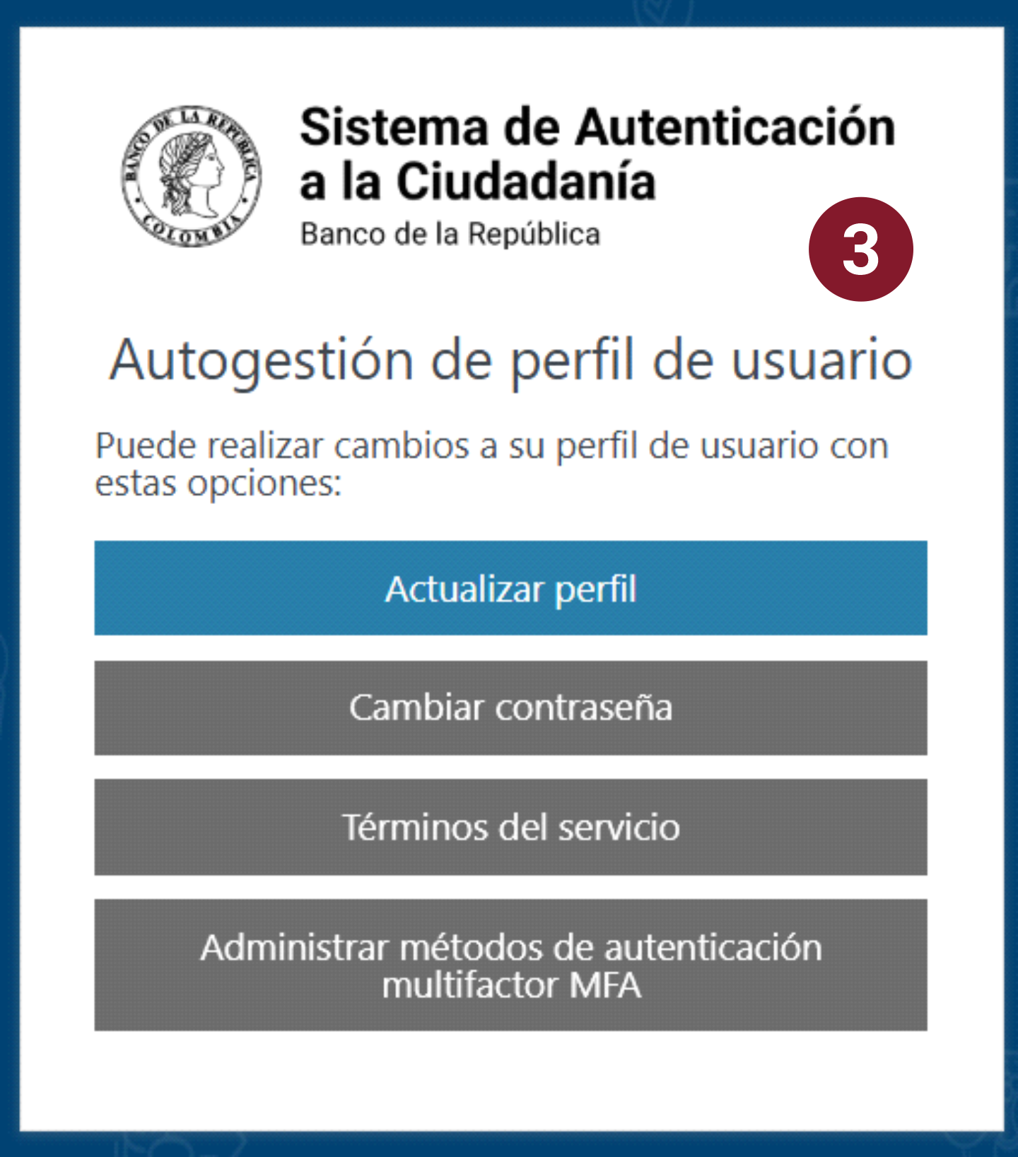 Menú principal del sistema