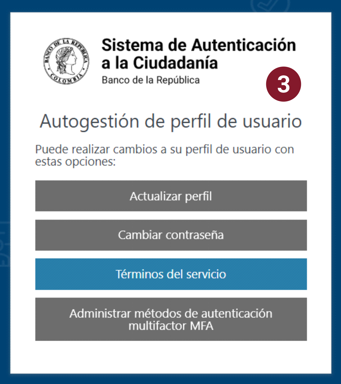 Menú de opciones del sistema