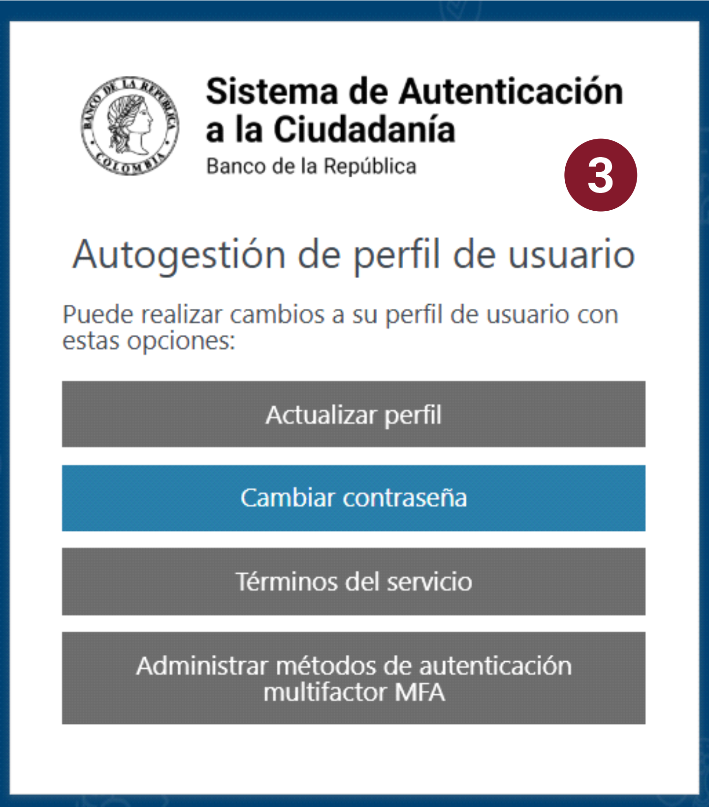 en la imagen se muestra el menú de opciones.