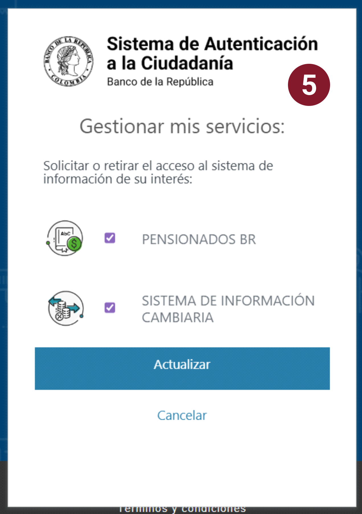 Imagen que muestra como se seleccionan los servicios