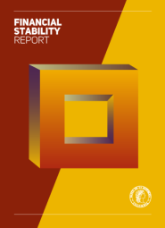Financial Stability Report - first half