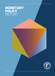 Monetary Policy Report cover