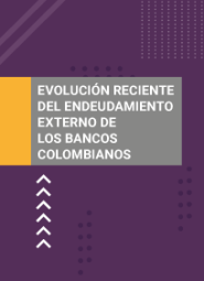 Portada - Informe sobre la evolución reciente del endeudamiento externo de los bancos colombianos - Junio de 2025